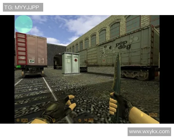 揭秘张强成功之道专访CSGO背后的故事与经验分享 揭秘张强成功之道专访CSGO背后的故事与经验分享