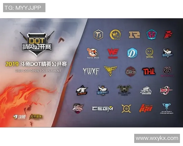 RNG团队协作引发热议和平精英赛事中的争议与反思