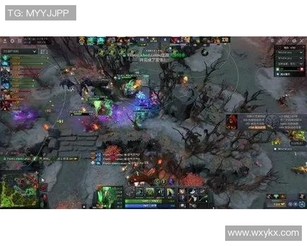 深入分析DOTA2焦点RNG战队的团队协作与战略配合技巧 深入分析DOTA2焦点RNG战队的团队协作与战略配合技巧