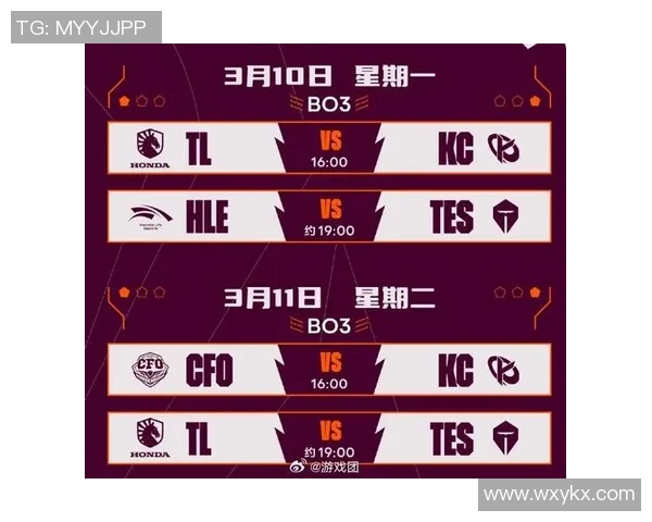 全球总决赛TES耐力表现分析与未来发展展望实时新闻